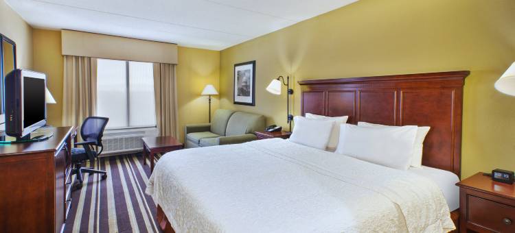 希尔顿欢朋酒店-华盛顿杜勒斯机场南(Hampton Inn Washington-Dulles Int'l Airport South)图片