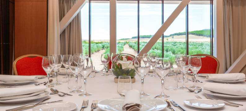 拉约斯艾瑟高尔夫酒店(Exe Layos Golf)图片