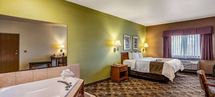 凯艺套房酒店(Quality Inn & Suites)图片