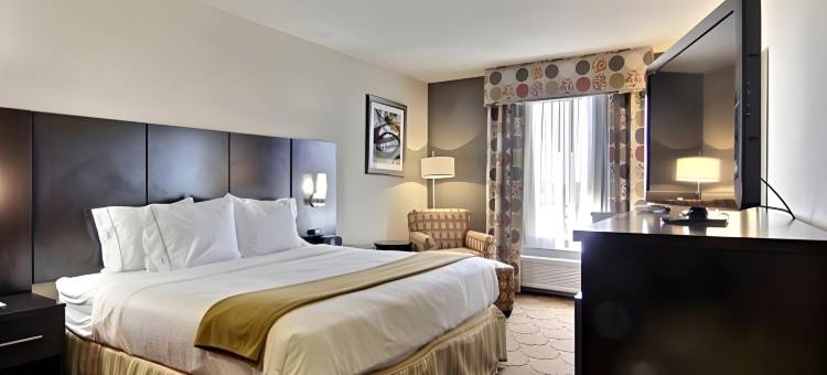 智选假日套房酒店霍布斯(Holiday Inn Express & Suites Hobbs)图片