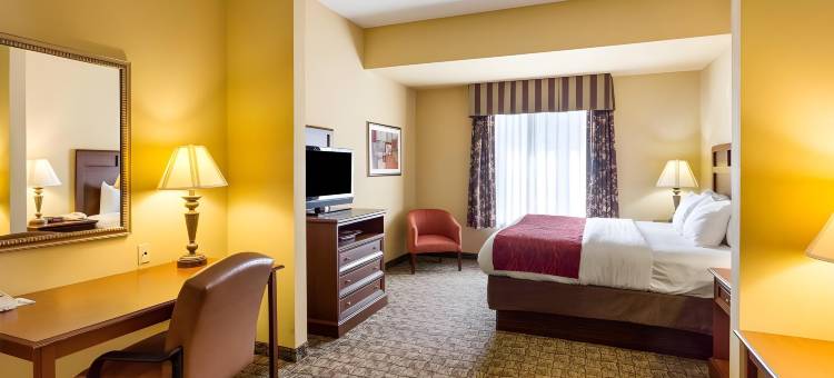 舒适套房酒店(Comfort Inn & Suites)图片