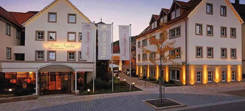 安妮-索菲酒店及餐厅(Hotel-Restaurant Anne-Sophie)图片