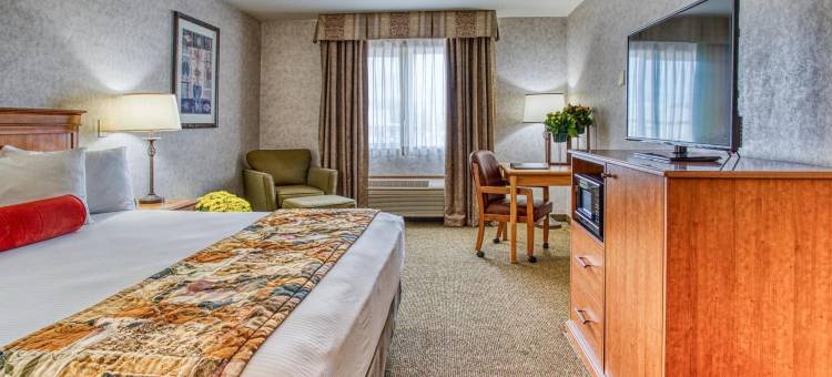 罗里与赖安汽车旅馆(Rory & Ryan Inn)图片