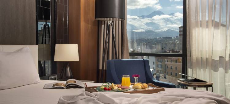 开塞利-杜文诺努假日酒店(Holiday Inn Kayseri - Duvenonu)图片