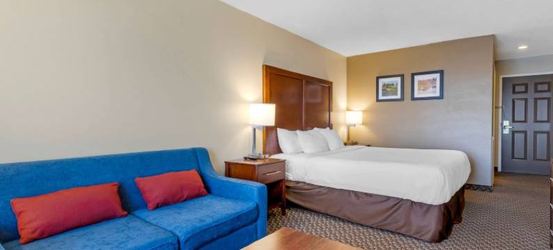 舒适酒店(Comfort Inn)图片