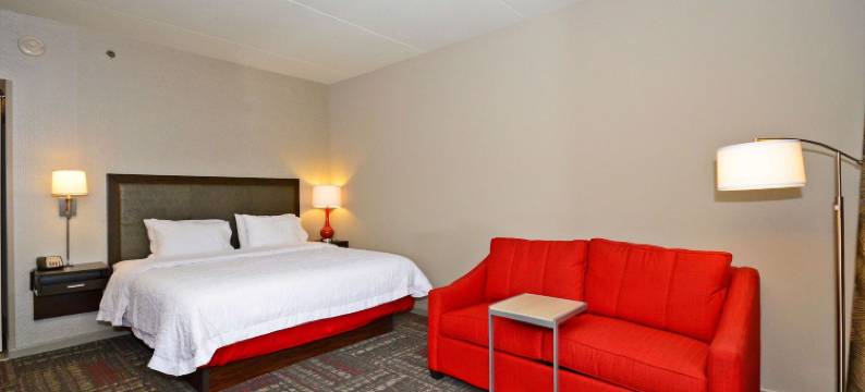 希尔顿欢朋酒店-普拉斯基(Hampton Inn Pulaski)图片