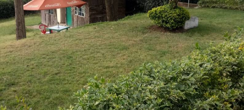 哈德森体育酒吧酒店(Hudson's Sports Bar and Restaurant)图片