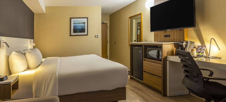 舒适酒店(Comfort Inn)图片