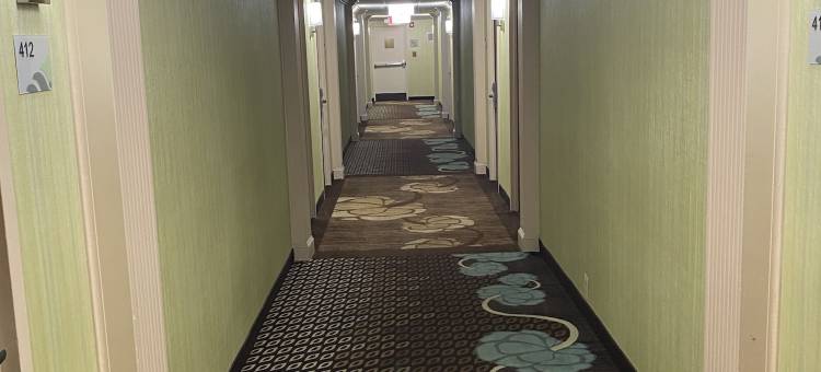 Wingate by Wyndham Springfield图片