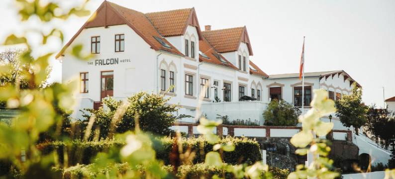 猎鹰酒店(The Falcon Hotel)图片