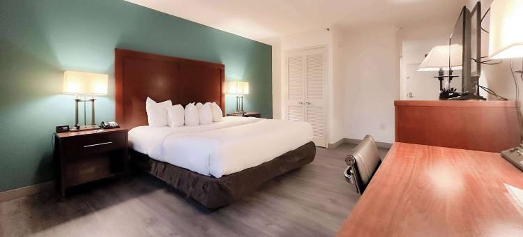 基西米舒适套房酒店-靠近公园(Comfort Inn & Suites Kissimmee by the Parks)图片