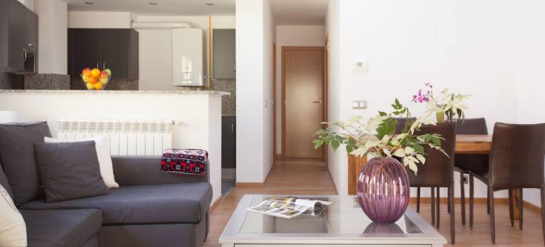 方德尔费罗公寓(Font del Ferro Apartments)图片