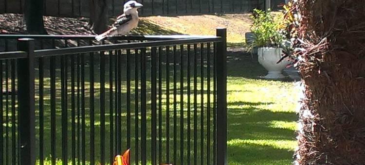 库梅拉汽车旅馆(Coomera Motor Inn)图片