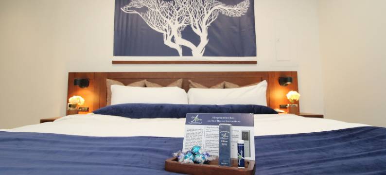 阿斯彭泉天使火酒店(Aspen Springs Angel Fire)图片