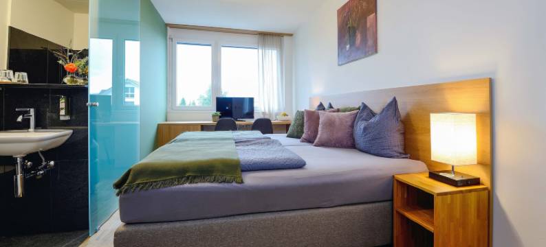 普罗菲斯酒店(Hotel Profis)图片