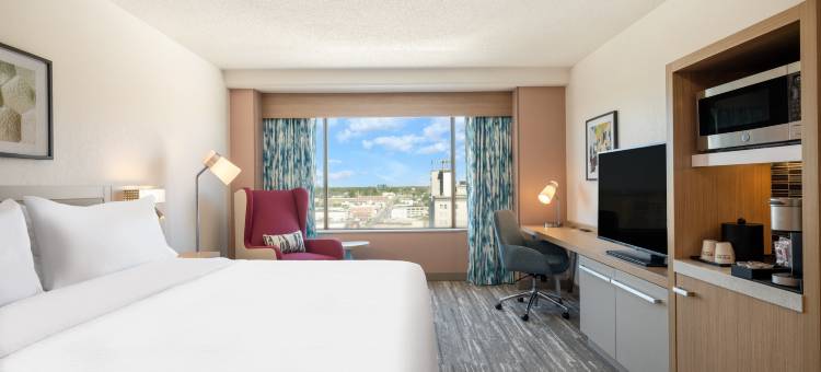 托莱多市中心希尔顿花园酒店(Hilton Garden Inn Toledo Downtown)图片