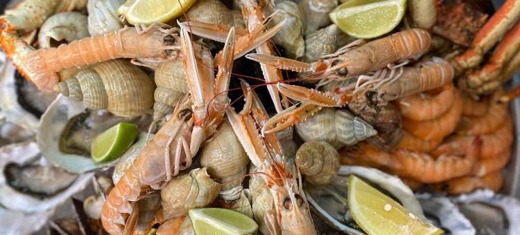 摄政酒店(Logis Hotel Restaurant la Régence)图片