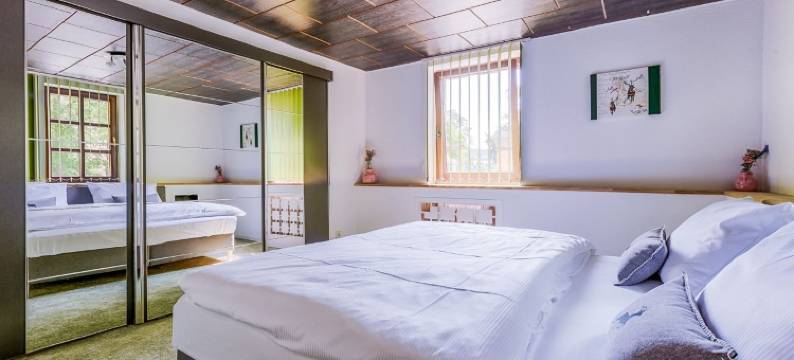 茨韦尼茨酿酒厂酒店(Brauerei Zwönitz)图片