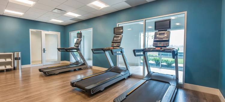 韦兰智选假日套房酒店(Holiday Inn Express & Suites Welland)图片