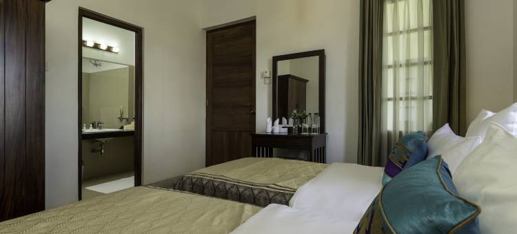 橄榄平房(Olive Bungalow)图片