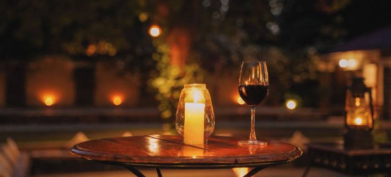 斑德哈瓦别墅(Bandhav Vilas)图片