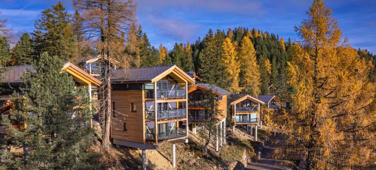 ALPS RESORTS 图拉赫高地自然小木屋(Naturchalets Turracher Höhe by Alps Resorts)图片
