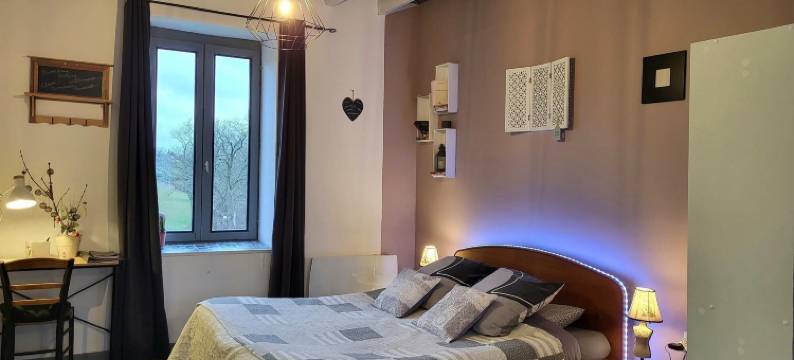 克里斯蒂娜·斯库夫莱尔(Christine Scuflaire)图片