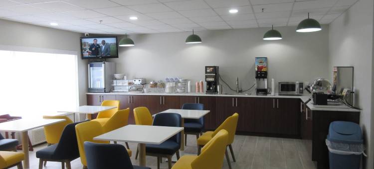 斯普林菲尔德舒适酒店及套房(Springfield Inn)图片