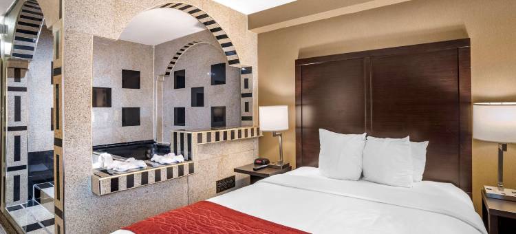 舒适酒店(Comfort Inn)图片