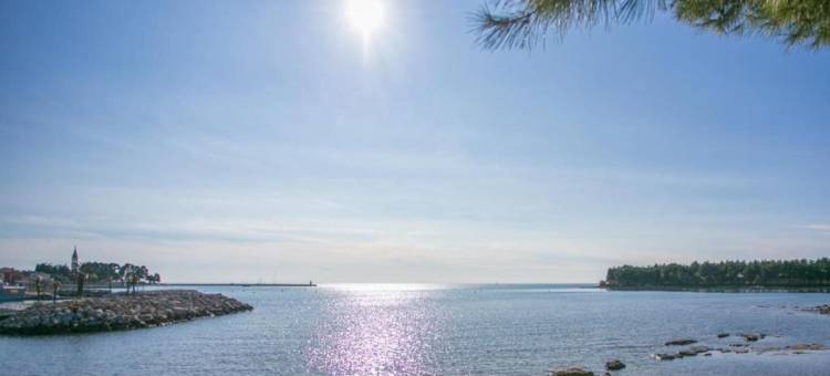 诺维格勒的别墅，带私人泳池和海滩(Villa in Novigrad with Private Pool and Beach)图片