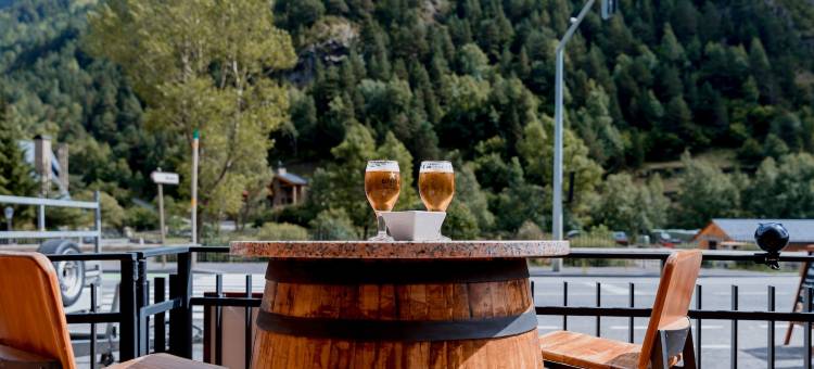 安道尔郁金香皮耶雷度假酒店(Pierre & Vacances Aparthotel la Tulipa)图片