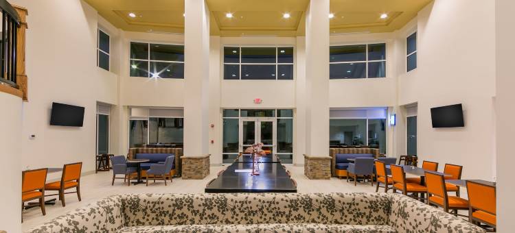 Holiday Inn Express 加特林堡(Holiday Inn Express Gatlinburg Downtown)图片