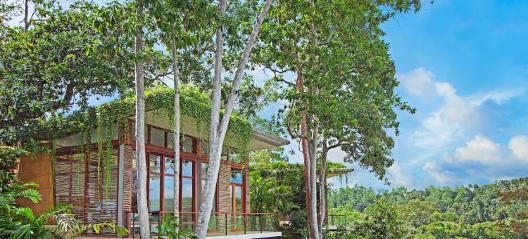 阿玛雅Tri(Tri by Amaya)图片