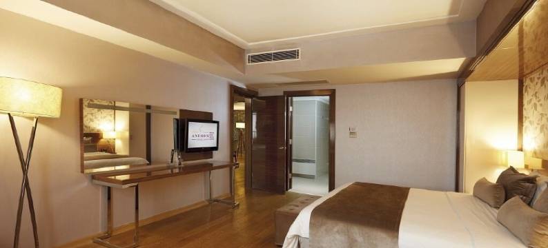 科尼亚阿内蒙酒店(Anemon Grand Konya Otel)图片