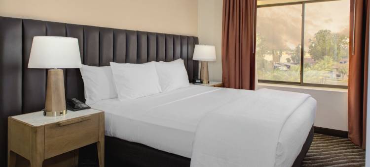 凤凰城斯科特代尔希尔顿安泊酒店(Embassy Suites by Hilton Phoenix Scottsdale)图片