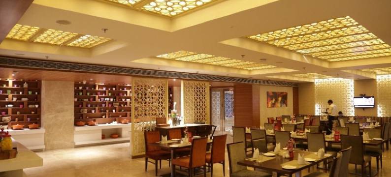 阿格拉宫殿PL酒店(The P L Palace Agra)图片