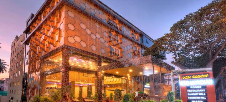 里约子午线酒店(Rio Meridian Hotel)图片