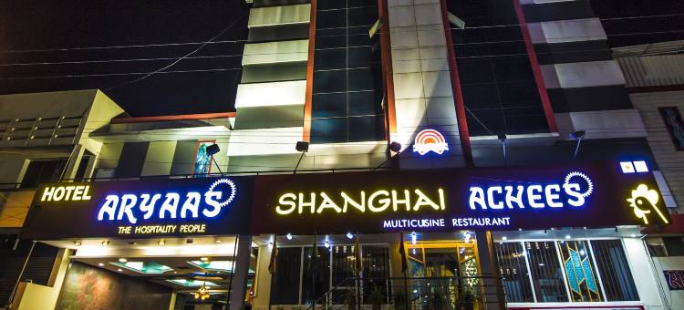 阿雅斯酒店(Hotel Aryaas)图片