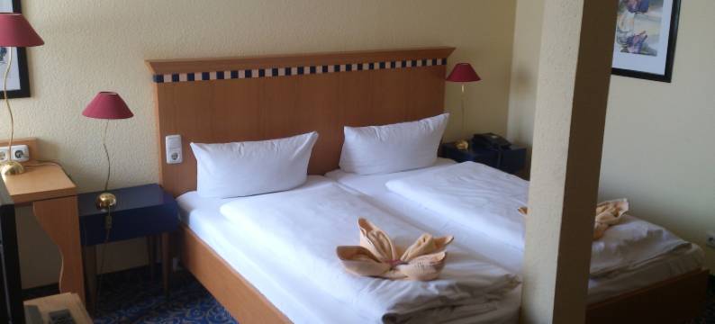 浴疗公园酒店(Hotel am Kurpark)图片