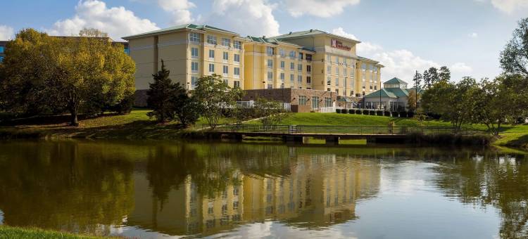 夏洛特机场希尔顿花园酒店(Hilton Garden Inn Charlotte Airport)图片