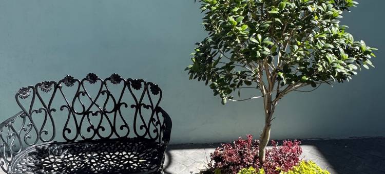 瑞尔旅馆酒店(Hotel Posada Real)图片