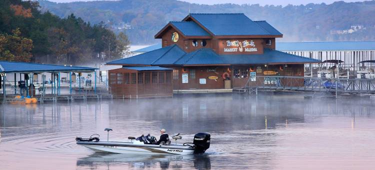 大雪松旅馆(Big Cedar Lodge)图片