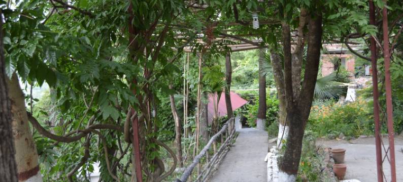 罗萨斯塔伊斯杰欧利科特巴拉别墅(Rosastays Jeolikote)图片