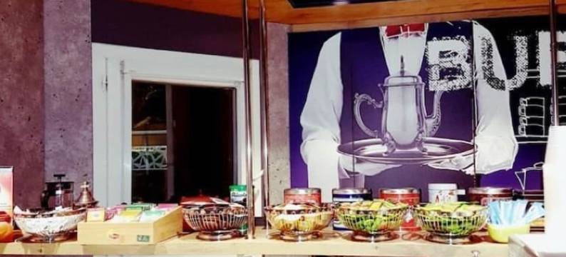 宜必思快捷里尔龙钦酒店-皮埃尔莫罗伊体育场(Ibis Budget Lille Ronchin - Stade Pierre Mauroy)图片