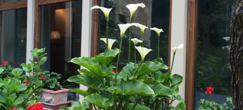 圣卡塔林纳酒店(Hotel Santa Caterina)图片