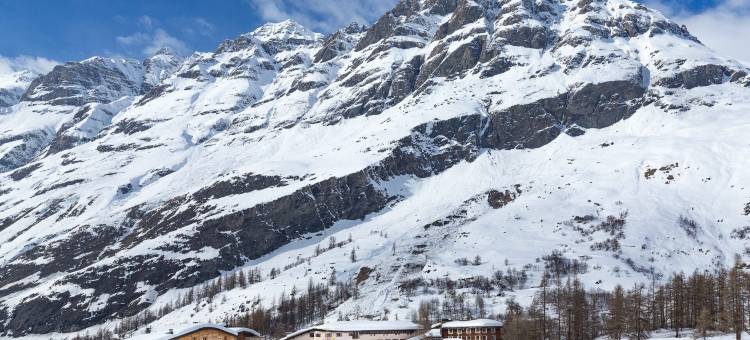 拉贝桑纳斯(La Bessannaise)图片