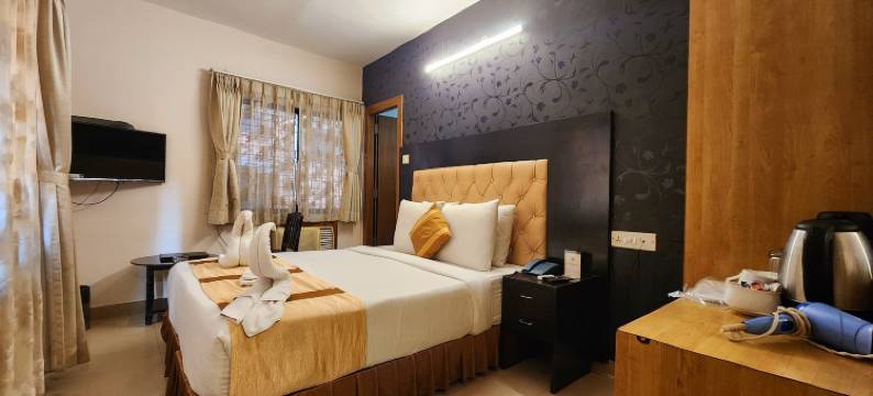 VIP洲际酒店(Hotel VIP InterContinental)图片