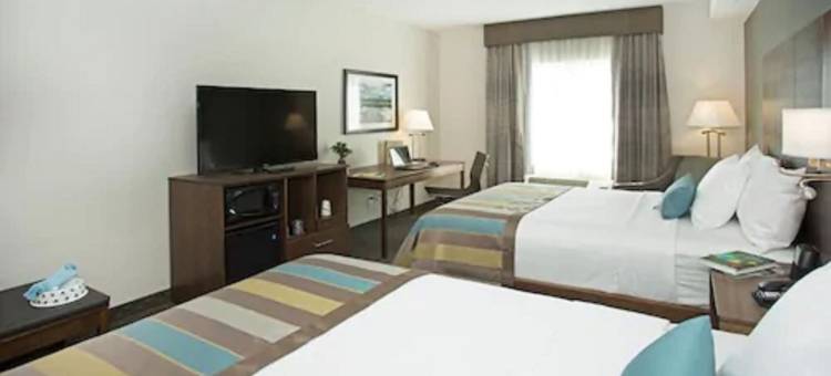 Wingate by Wyndham Calgary Airport图片