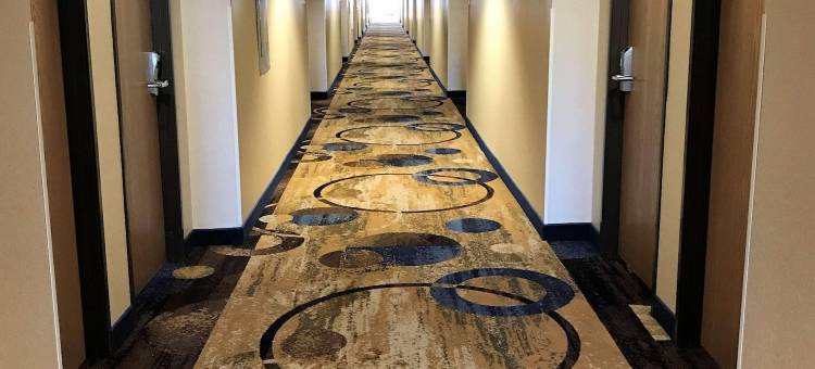 拉迪森旗下乡村旅馆及套房-普莱森特山-拉辛西部-WI(Country Inn & Suites by Radisson, Mt. Pleasant-Racine West, WI)图片