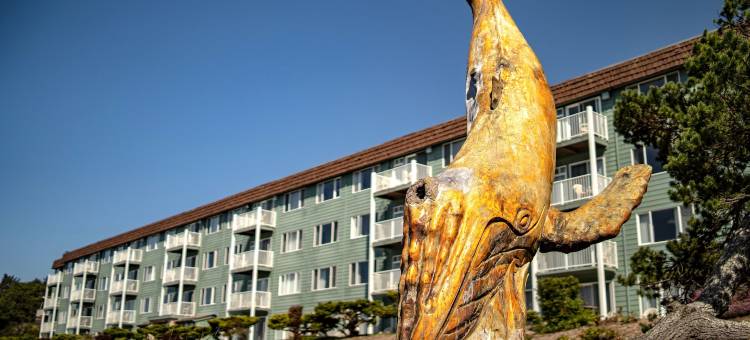 西港城堡度假村(Chateau Westport)图片